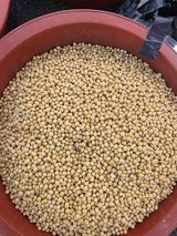 팜모닝 · 게시글 이미지