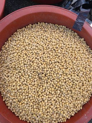 진성아님의 작성글 사진