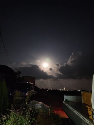 제주부자팜님의 자유주제 · 자유게시판 작성글 사진