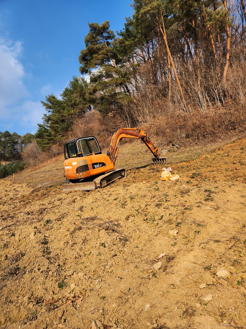 장터 상품 [더덕 4키로 ] 썸네일