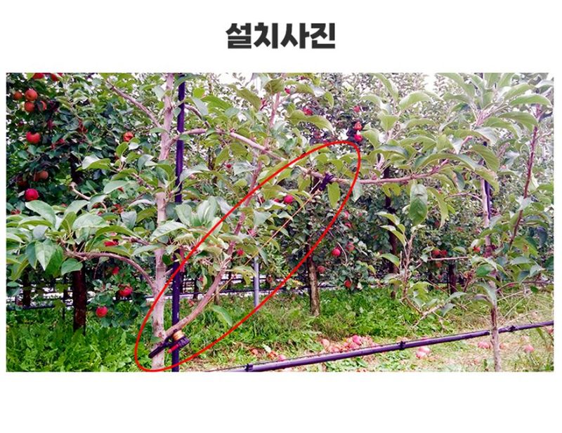 상인농자재님의 장터 판매 상품 [가지유인줄 유인줄 과수자재] 첨부 사진