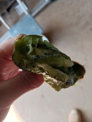 들국화님의 자유주제 · 자유게시판 작성글 사진