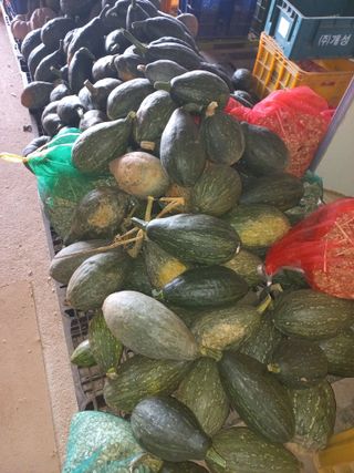 박린님의 자유주제 · 자유게시판 작성글 사진