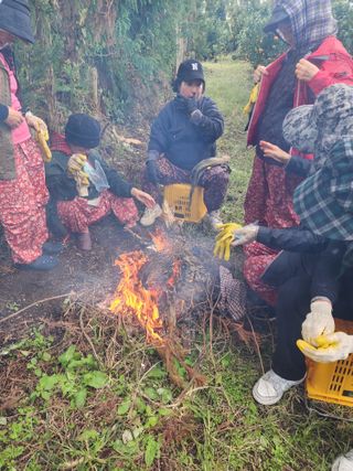 제주부자팜님의 자유주제 · 자유게시판 작성글 사진