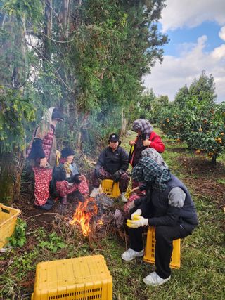 제주부자팜님의 자유주제 · 자유게시판 작성글 사진