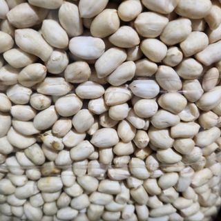 약초를사랑한짱아줌마님의 작성글 사진