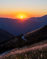 팜모닝 · 게시글 이미지