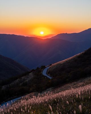 양김정숙님의 작성글 사진
