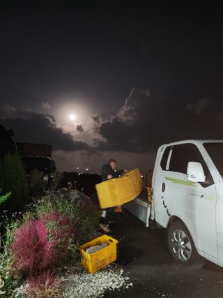 제주부자팜님의 자유주제 · 자유게시판 작성글 사진