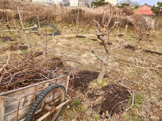 최상길 님의 자유주제 · 자유게시판 작성글 사진