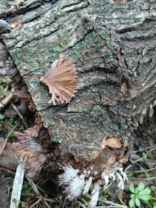 해맑은하늘님의 자유주제 · 자유게시판 작성글 사진