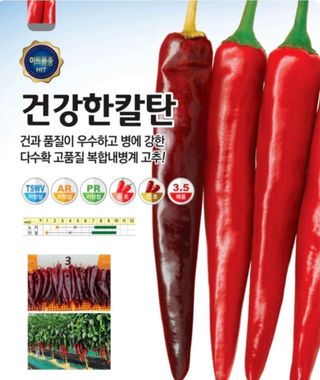 대산농사대장님의 작성글 사진