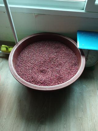 호두나무(이수억)님의 작성글 사진