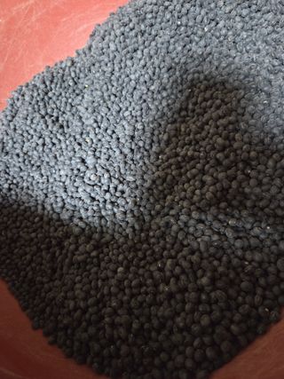 장안님의 자유주제 · 자유게시판 작성글 사진