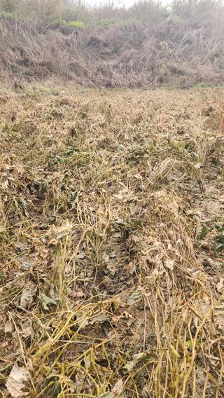 치악산골농부님의 자유주제 · 자유게시판 작성글 사진