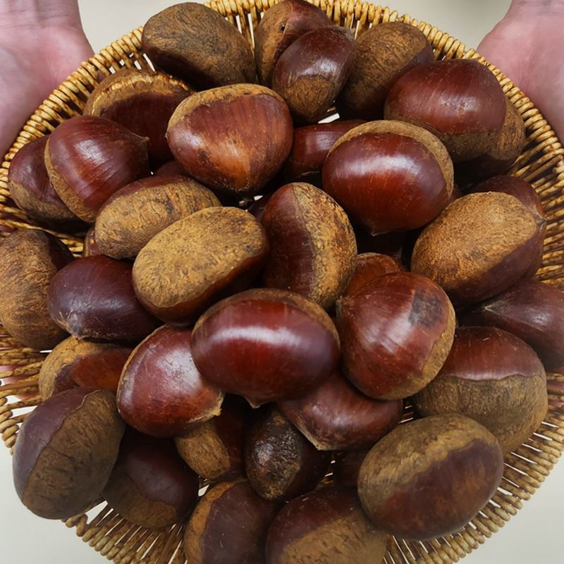 장터 상품 [(특품/굿뜨레인증) 부여 밤] 썸네일