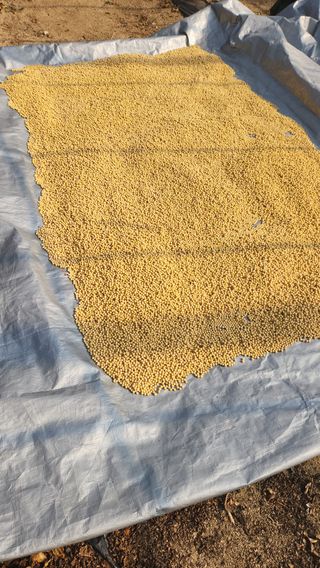 치악산골농부님의 자유주제 · 자유게시판 작성글 사진