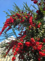 팜모닝 자유주제·자유게시판 게시글 이미지