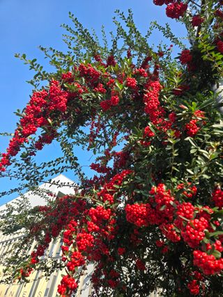 Captain김상곤님의 자유주제 · 자유게시판 작성글 사진