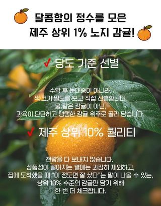 새달귤농장님의 작성글 사진