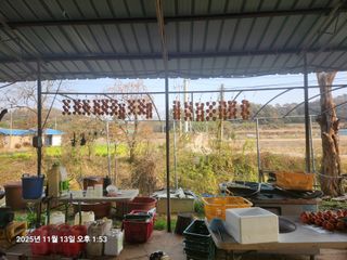 전봉호님의 자유주제 · 자유게시판 작성글 사진