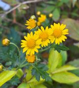 팜모닝 자유주제·자유게시판 게시글 이미지