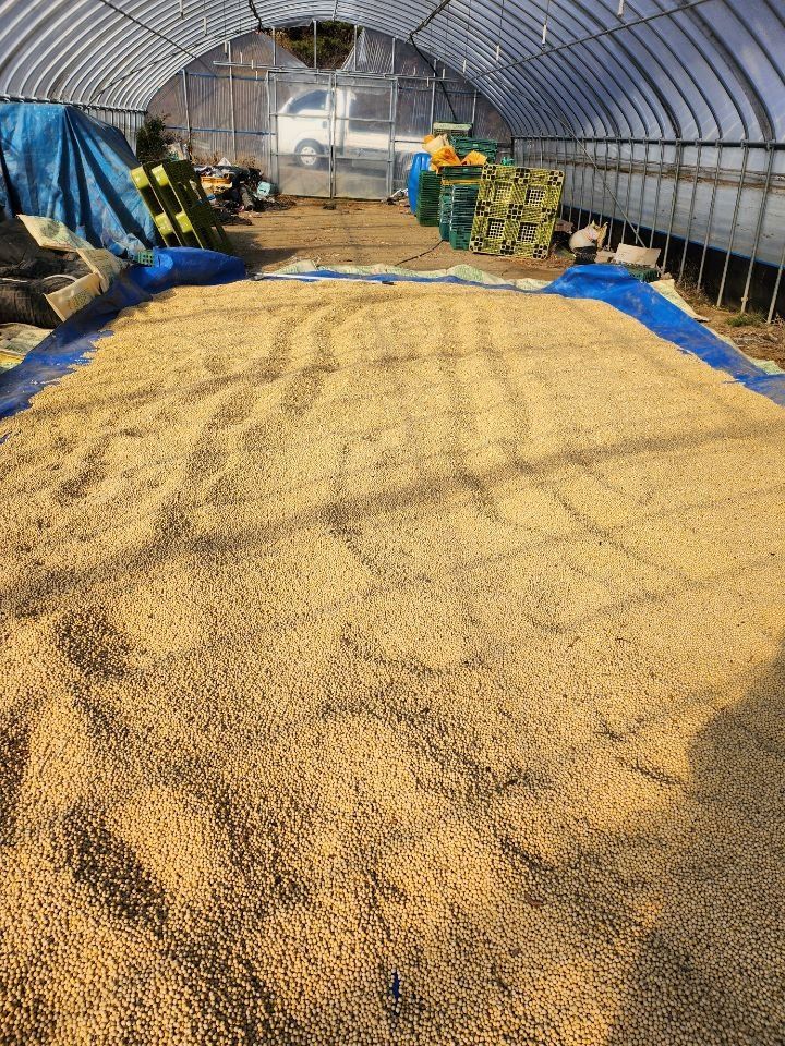 장터 상품 [메주콩1kg] 썸네일