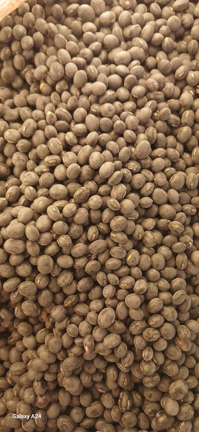 논산 농부 부인님의 장터 판매 상품 [서리태1키로] 첨부 사진