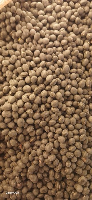 논산 농부 부인님의 작성글 사진