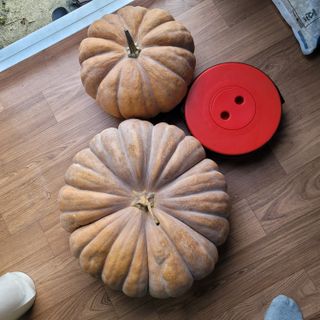 강대득님의 자유주제 · 자유게시판 작성글 사진