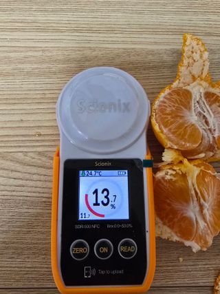 새달귤농장님의 작성글 사진