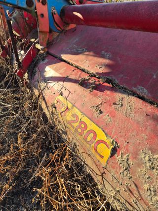 국가대표님의 작성글 사진