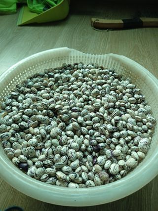 호두나무(이수억)님의 작성글 사진