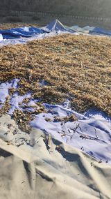 팜모닝 자유주제·자유게시판 게시글 이미지