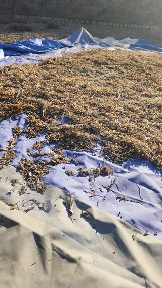 치악산골농부님의 자유주제 · 자유게시판 작성글 사진