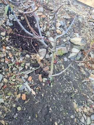 김용대님의 자유주제 · 자유게시판 작성글 사진