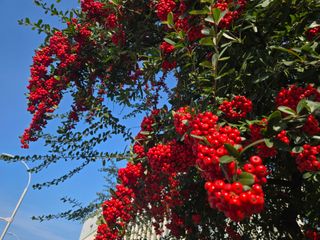 Captain김상곤님의 자유주제 · 자유게시판 작성글 사진