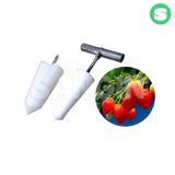 팜모닝 · 게시글 이미지