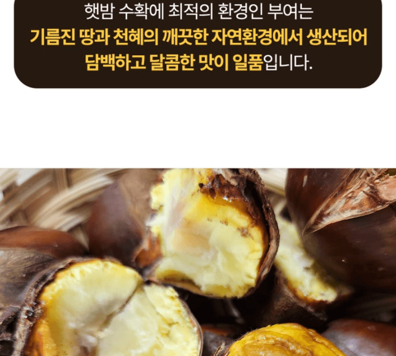 스피드번님의 장터 판매 상품 [(특품/굿뜨레인증) 부여 밤] 첨부 사진