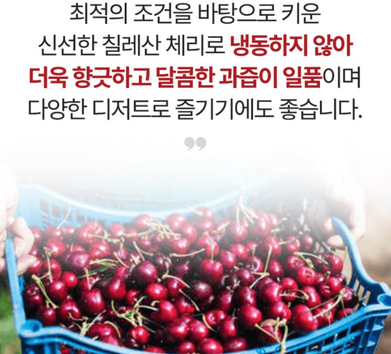 스피드번님의 장터 판매 상품 [칠레산 체리] 첨부 사진