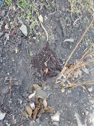 김용대님의 자유주제 · 자유게시판 작성글 사진