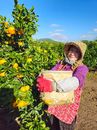 새달귤농장님의 작성글 사진