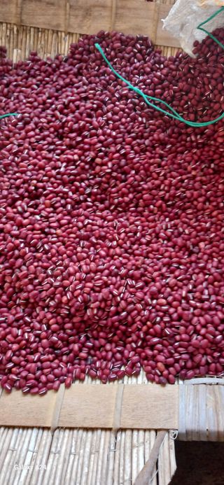 논산 농부 부인님의 작성글 사진