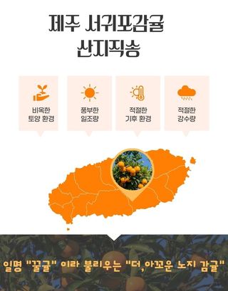 새달귤농장님의 작성글 사진