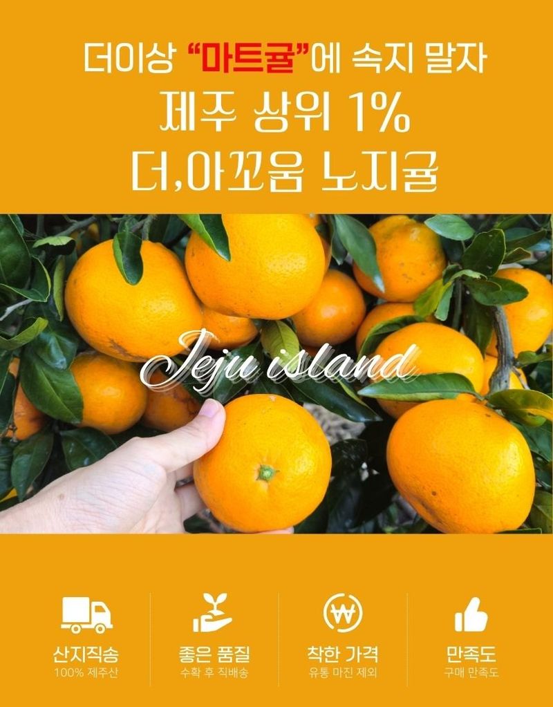 장터 상품 [(산지직송)노지귤 5키로(로얄과)] 썸네일