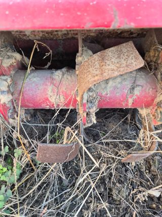 국가대표님의 작성글 사진