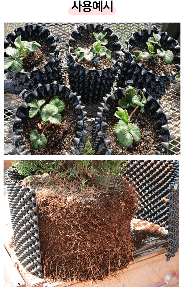 상인농자재님의 장터 판매 상품 [에어포토대형화분 공기화분 마술화분 타공포트] 첨부 사진