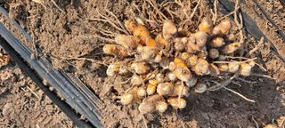 장준재님의 자유주제 · 자유게시판 작성글 사진