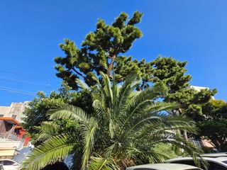 Captain김상곤님의 자유주제 · 자유게시판 작성글 사진