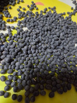 장안님의 자유주제 · 자유게시판 작성글 사진